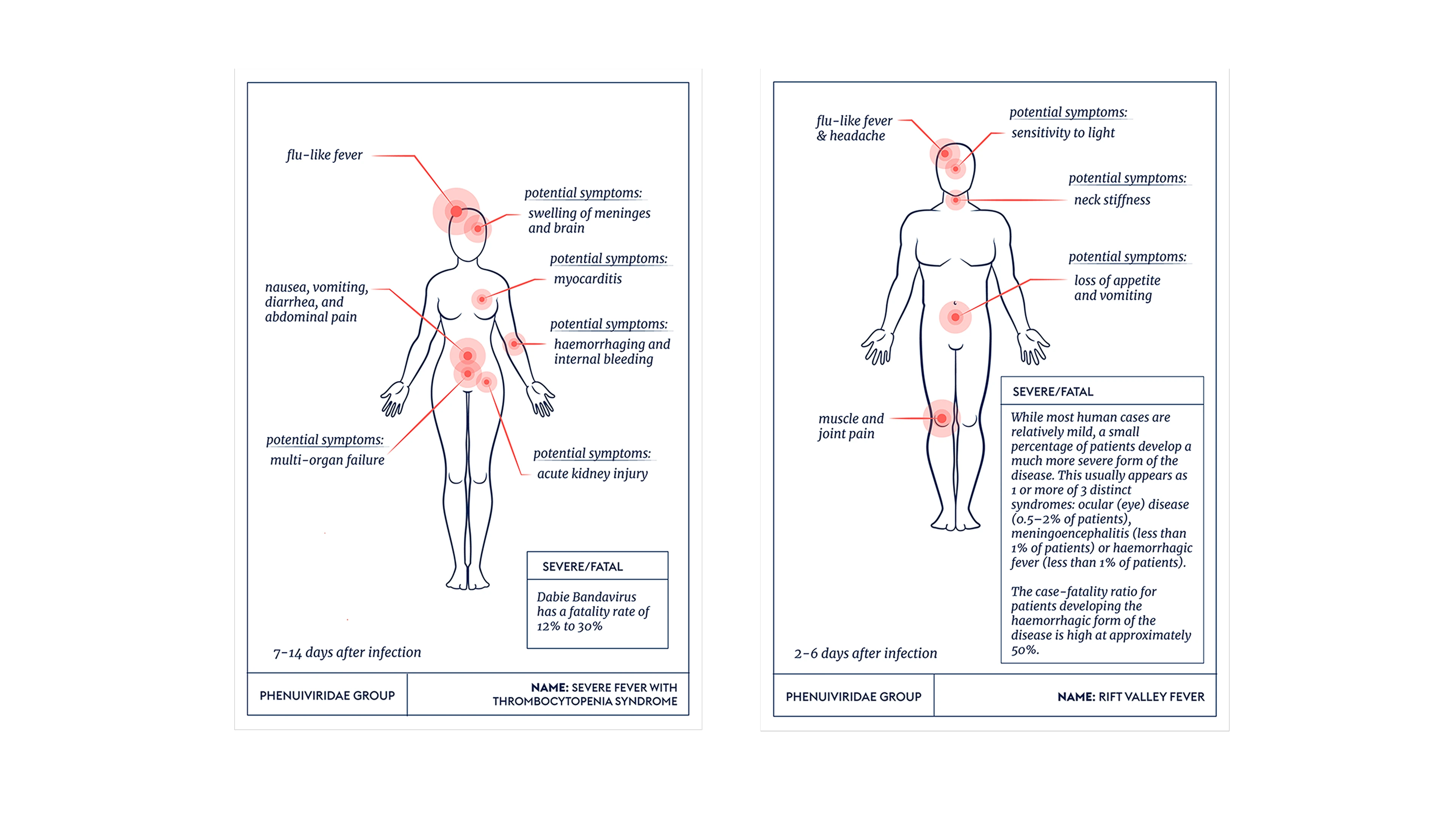 illustrations showing disease symptoms